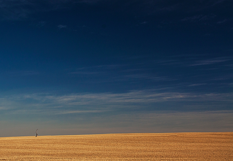 wheat country 2.jpg